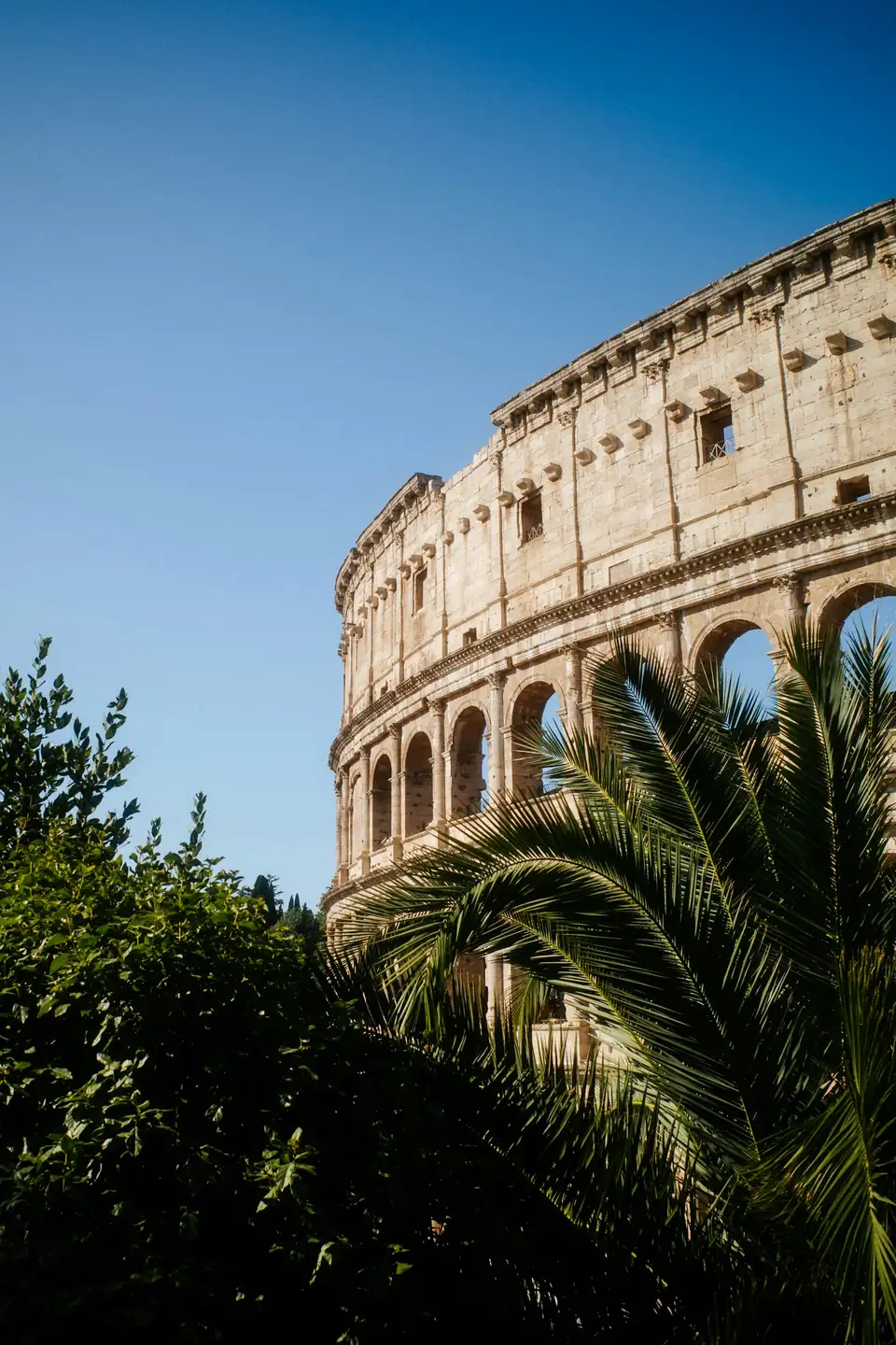 El Coliseo de Roma entre palmeras bajo cielo azul